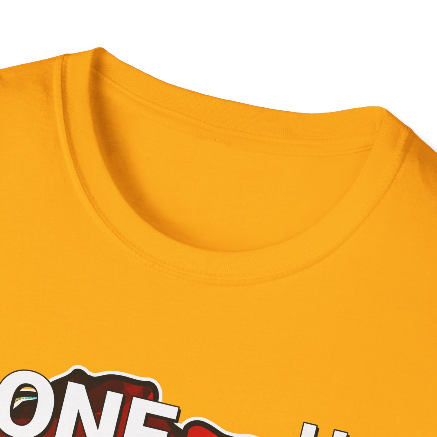 One Month Cant Hold Our History Queen Softstyle T-Shirt