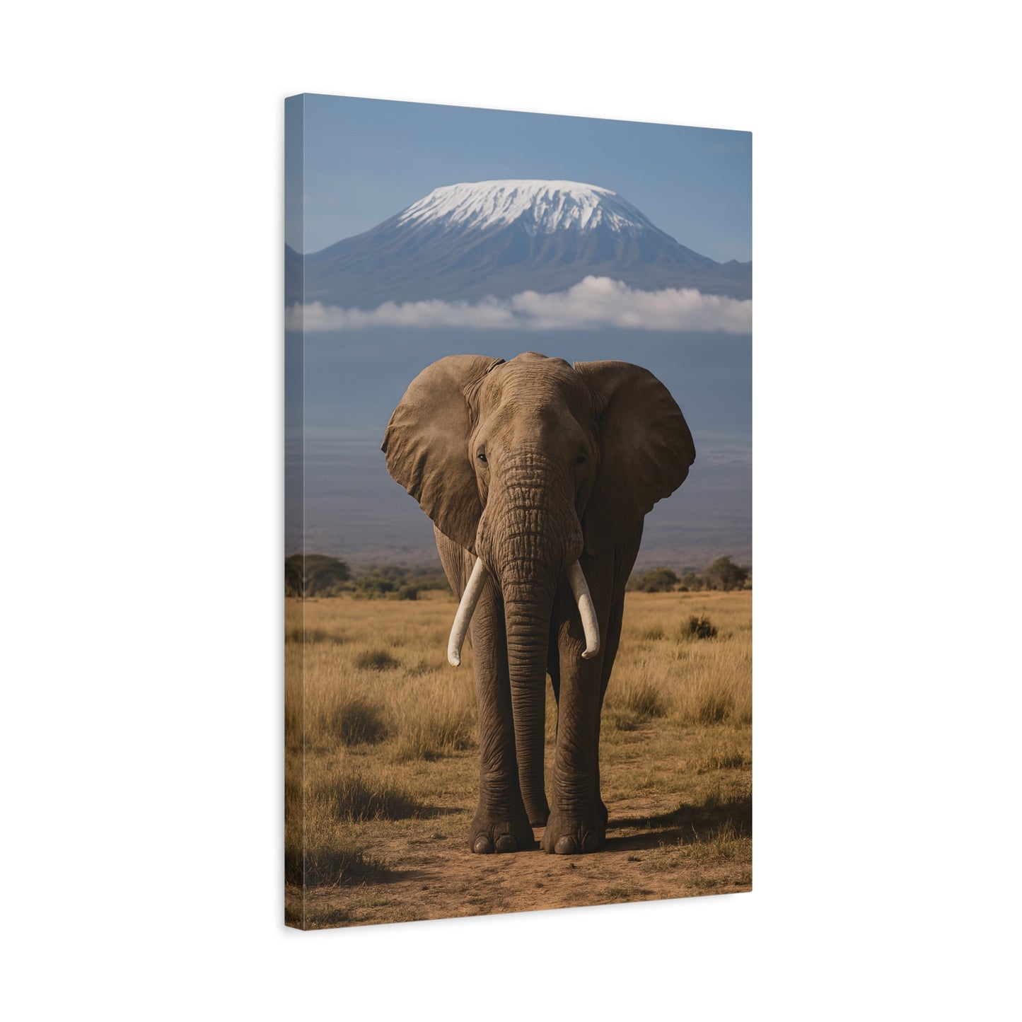 Stretched Canvas Art featuring Majestic Elephant and Kilimanjaro, Wildlife Decor, Nature Lover's Gift, Animal Wall Art, Home Decor, Nature Lovers