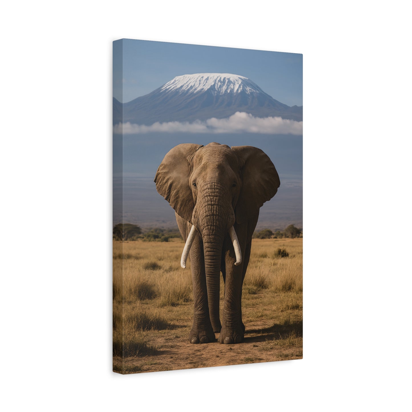 Stretched Canvas Art featuring Majestic Elephant and Kilimanjaro, Wildlife Decor, Nature Lover's Gift, Animal Wall Art, Home Decor, Nature Lovers