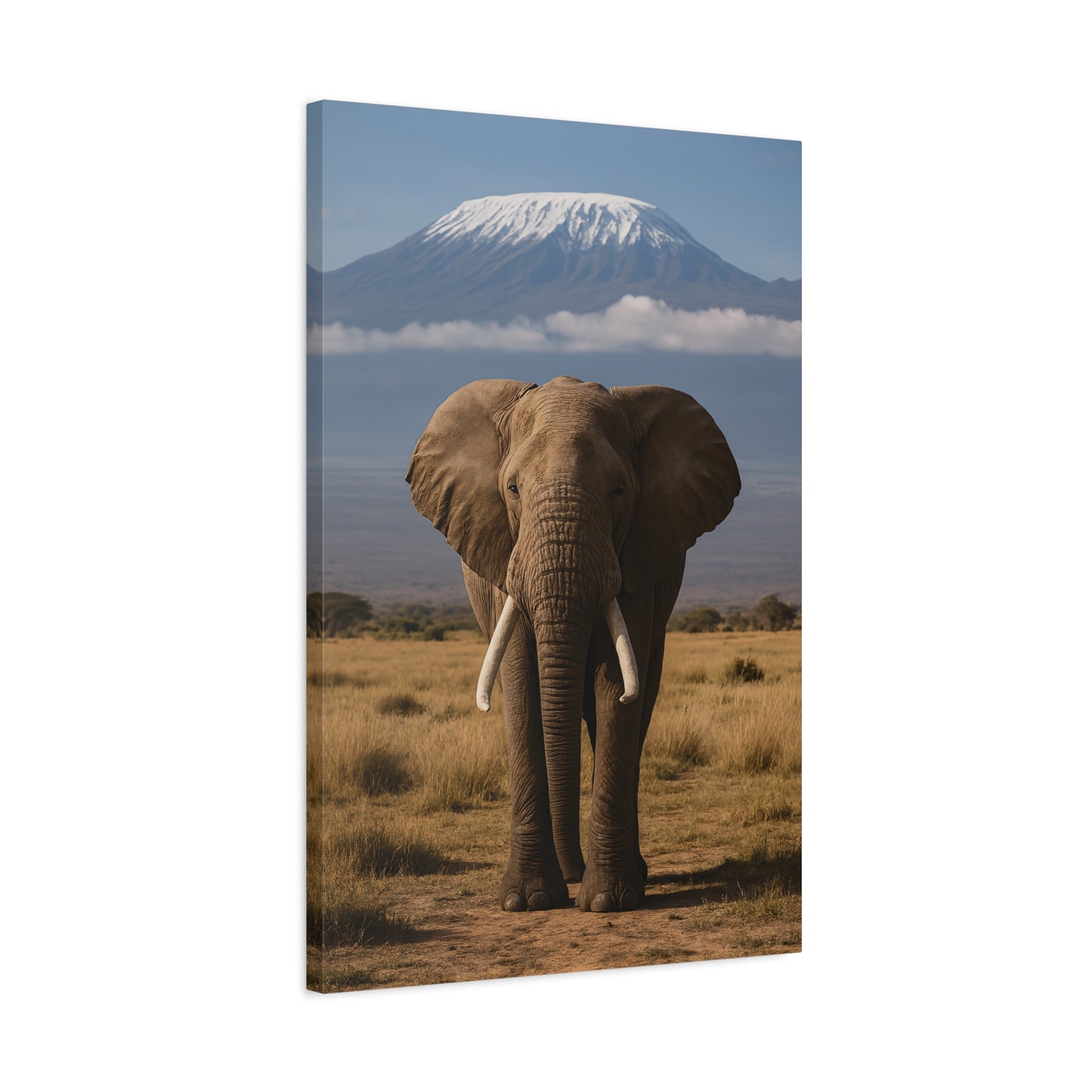Stretched Canvas Art featuring Majestic Elephant and Kilimanjaro, Wildlife Decor, Nature Lover's Gift, Animal Wall Art, Home Decor, Nature Lovers