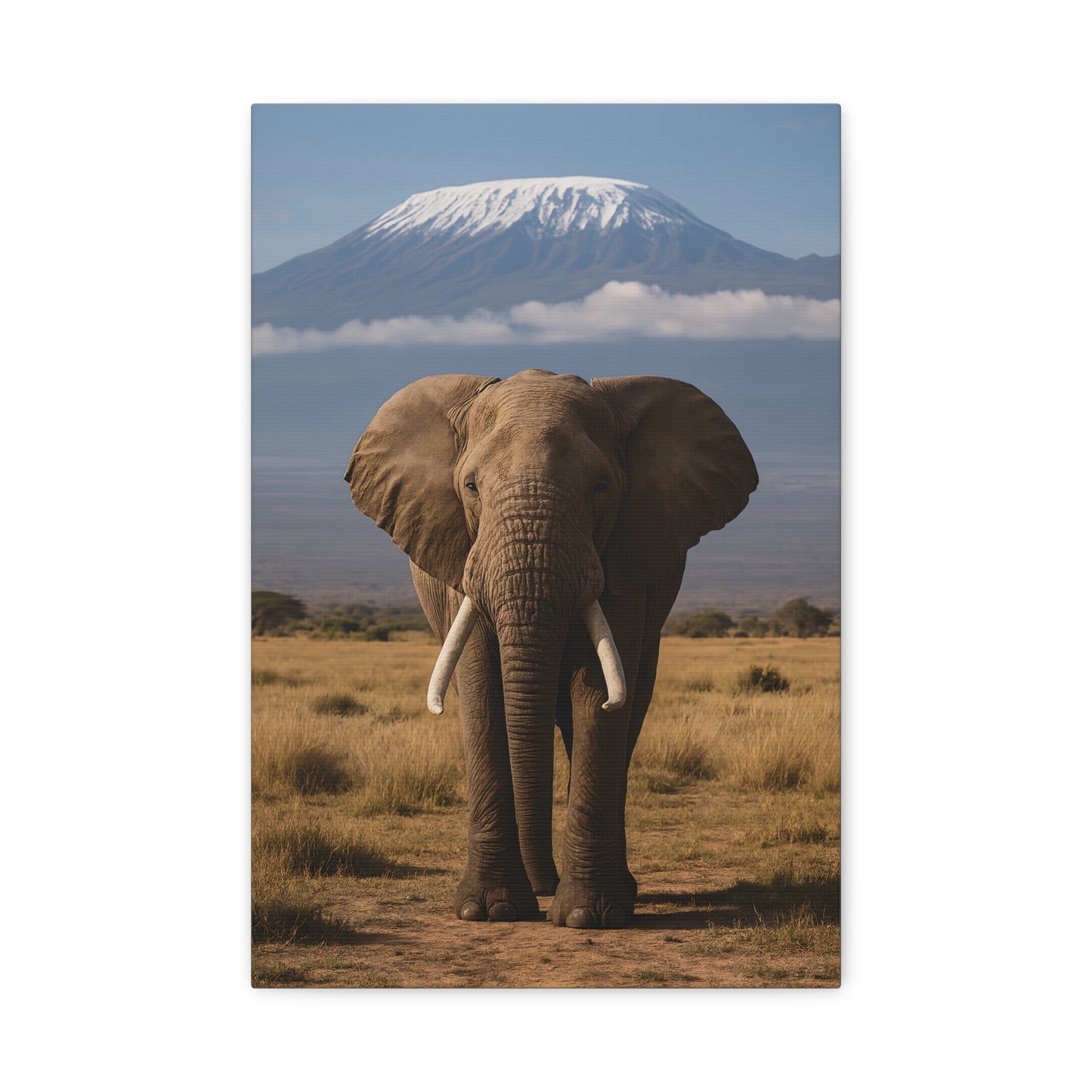 Stretched Canvas Art featuring Majestic Elephant and Kilimanjaro, Wildlife Decor, Nature Lover's Gift, Animal Wall Art, Home Decor, Nature Lovers